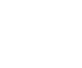 standards for excellence logo